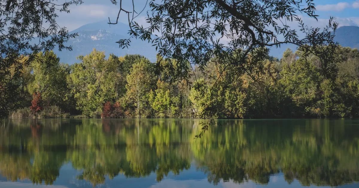Dlaczego ekologia w filmach zyskuje na popularności?